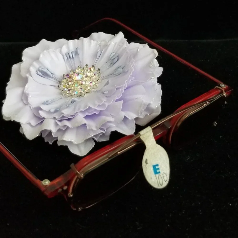 LA Eyeworks Glasses w/ Clip on Sunglass Lens
